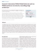 Syntaxin 5 determines Weibel-Palade body size and von Willebrand factor secretion by controlling Golgi architecture