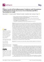 Protein levels of pro-inflammatory cytokines and chemokines as biomarkers of Mycobacterium bovis infection and BCG vaccination in cattle