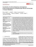 Localization of active endogenous and exogenous beta-glucocerebrosidase by correlative light-electron microscopy in human fibroblasts