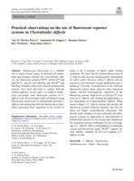 Practical observations on the use of fluorescent reporter systems in Clostridioides difficile