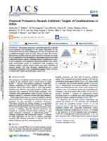 Chemical proteomics reveals antibiotic targets of oxadiazolones in MRSA