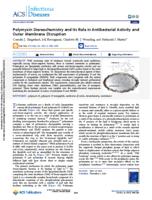 Polymyxin stereochemistry and its role in antibacterial activity and outer membrane disruption