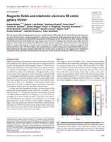 Magnetic fields and relativistic electrons fill entire galaxy cluster