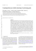 Cosmological forecasts with the clustering of weak lensing peaks