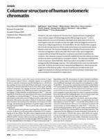 Columnar structure of human telomeric chromatin