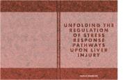 Unfolding the regulation of stress response pathways upon liver injury
