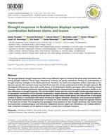 Drought response in Arabidopsis displays synergistic coordination between stems and leaves