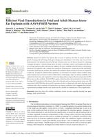 Efficient viral transduction in fetal and adult human inner ear explants with AAV9-PHP.B vectors