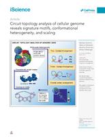 Circuit topology analysis of cellular genome reveals signature motifs, conformational heterogeneity, and scaling