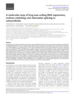 A molecular map of long non-coding RNA expression, isoform switching and alternative splicing in osteoarthritis