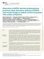 Maturation of hiPSC-derived cardiomyocytes promotes adult alternative splicing of SCN5A and reveals changes in sodium current associated with cardiac arrhythmia