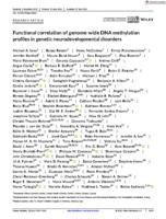 Functional correlation of genome-wide DNA methylation profiles in genetic neurodevelopmental disorders