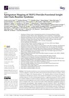 Episignature Mapping of TRIP12 provides functional insight into Clark-Baraitser Syndrome