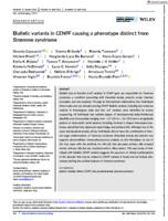 Biallelic variants in CENPF causing a phenotype distinct from Stromme syndrome