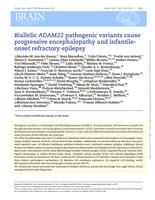 Biallelic ADAM22 pathogenic variants cause progressive encephalopathy and infantile-onset refractory epilepsy