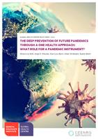 The deep prevention of future pandemics through a One Health approach