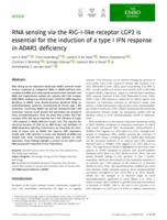 RNA sensing via the RIG-I-like receptor LGP2 is essential for the induction of a type I IFN response in ADAR1 deficiency