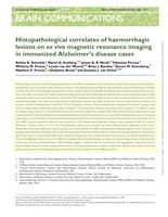 Histopathological correlates of haemorrhagic lesions on ex vivo magnetic resonance imaging in immunized Alzheimer's disease cases