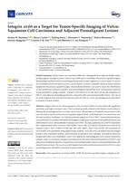 Integrin alpha v beta 6 as a target for tumor-specific imaging of vulvar squamous cell carcinoma and adjacent premalignant lesions