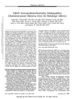 GRM1 immunohistochemistry distinguishes chondromyxoid fibroma from its histologic mimics