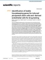 Identification of stable housekeeping genes for induced pluripotent stem cells and -derived endothelial cells for drug testing