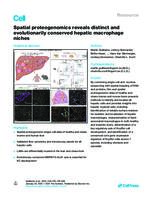 Spatial proteogenomics reveals distinct and evolutionarily conserved hepatic macrophage niches