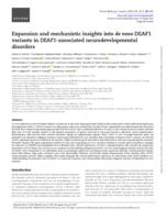 Expansion and mechanistic insights into de novo DEAF1 variants in DEAF1-associated neurodevelopmental disorders