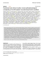 Functional and clinical studies reveal pathophysiological complexity of CLCN4-related neurodevelopmental condition