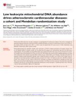 Low leukocyte mitochondrial DNA abundance drives atherosclerotic cardiovascular diseases