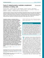 Factor H related proteins modulate complement activation on kidney cells