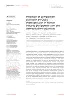 Inhibition of complement activation by CD55 overexpression in human induced pluripotent stem cell derived kidney organoids