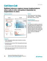 Epiblast inducers capture mouse trophectoderm stem cells in vitro and pattern blastoids for implantation in utero