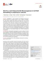 Role for a lytic polysaccharide monooxygenase in cell wall remodeling in streptomyces coelicolor