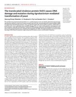 The translocated virulence protein VirD5 causes DNA damage and mutation during Agrobacterium-mediated transformation of yeast