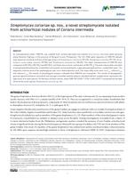 Streptomyces coriariae sp. nov., a novel streptomycete isolated from actinorhizal nodules of Coriaria intermedia