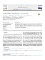 Microphysiological stem cell models of the human heart