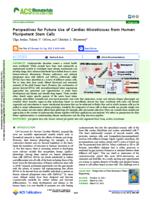 Perspectives for future use of cardiac microtissues from human pluripotent stem cells