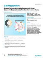 Atlas of exercise metabolism reveals time-dependent signatures of metabolic homeostasis