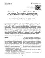 Efficient downregulation of Alk4 in skeletal muscle after systemic treatment with conjugated siRNAs in a mouse model for Duchenne muscular dystrophy