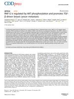 RNF12 is regulated by AKT phosphorylation and promotes TGF-beta driven breast cancer metastasis