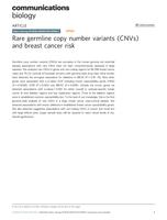 Rare germline copy number variants (CNVs) and breast cancer risk