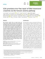 SCAI promotes error-free repair of DNA interstrand crosslinks via the Fanconi anemia pathway