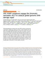 XPC-PARP complexes engage the chromatin remodeler ALC1 to catalyze global genome DNA damage repair