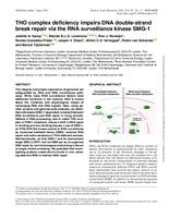 THO complex deficiency impairs DNA double-strand break repair via the RNA surveillance kinase SMG-1