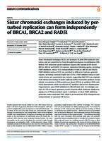 Sister chromatid exchanges induced by perturbed replication can form independently of BRCA1, BRCA2 and RAD51