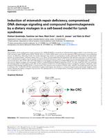 Induction of mismatch repair deficiency, compromised DNA damage signaling and compound hypermutagenesis by a dietary mutagen in a cell-based model for Lynch syndrome