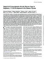 Single-cell transcriptomics reveals discrete steps in regulatory T cell development in the human thymus