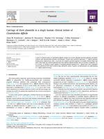 Carriage of three plasmids in a single human clinical isolate of Clostridioides difficile