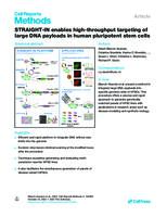 STRAIGHT-IN enables high-throughput targeting of large DNA payloads in human pluripotent stem cells