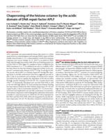 Chaperoning of the histone octamer by the acidic domain of DNA repair factor APLF